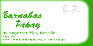 barnabas papay business card